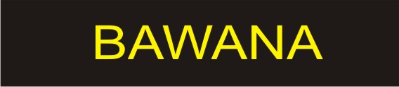 bawana