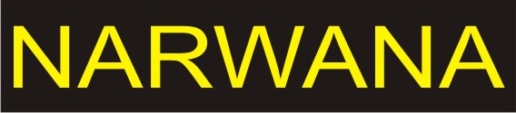 narwana