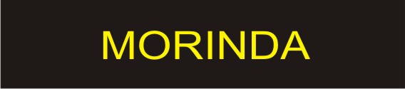 morinda