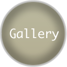 GALLERY | JCGP