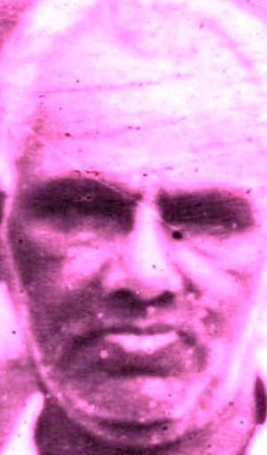 Image description