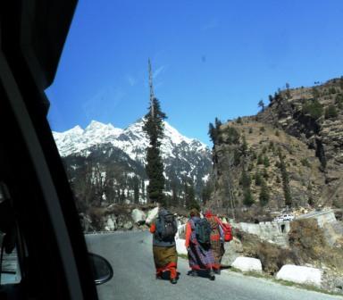 Shima-Manali Tour