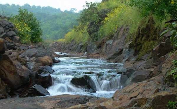 cab from pune to bhimashankar