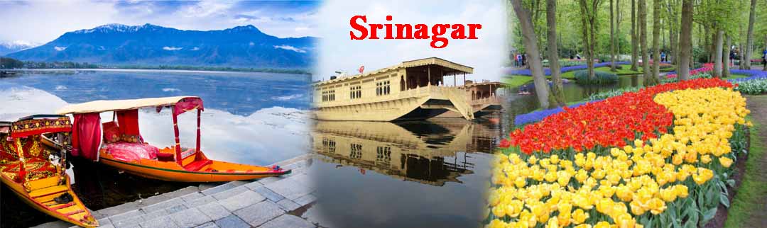 4Nights 5Days Srinagar Package