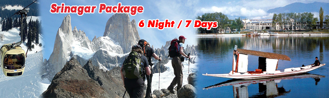 6Nighsts 7Days Srinagar Package