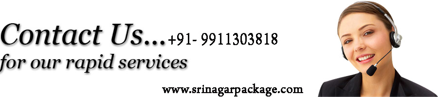 Srinagar Contact US