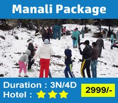 Manali Package