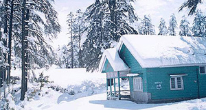 4Nights / 5Days Srinagar Package