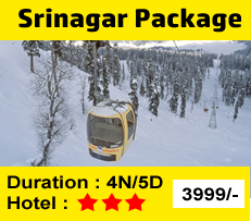 Srinagar Package