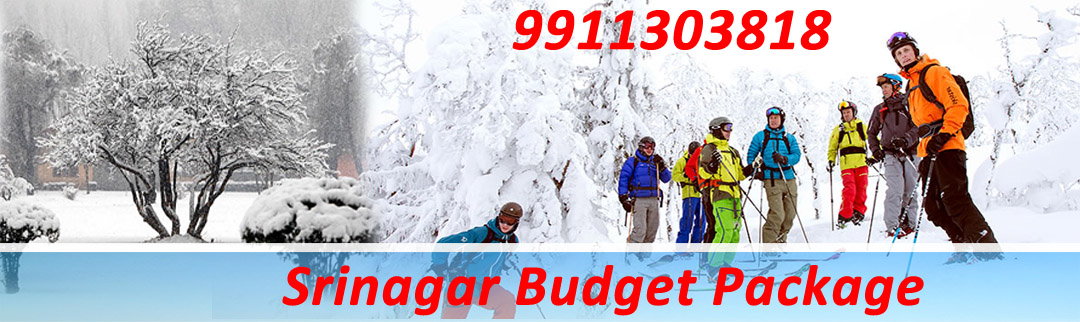 Srinagar Budget Package