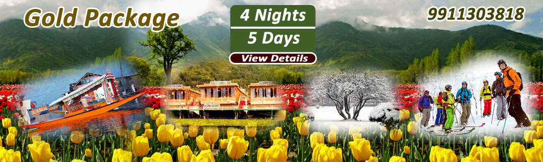 Srinagar Gold Package