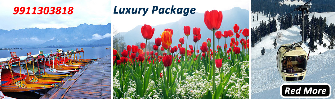 Srinagar Luxury Package