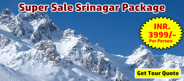 Super Sale Srinagar Package