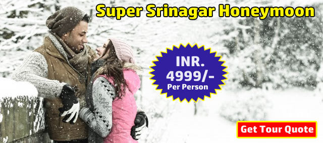 Super Srinagar Honeymoon