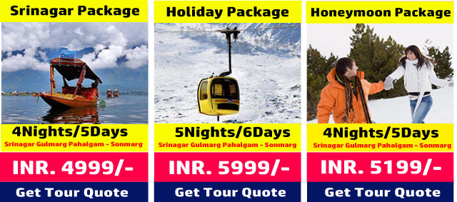 Srinagar Package | Srinagar Honeymoon | Holiday Package