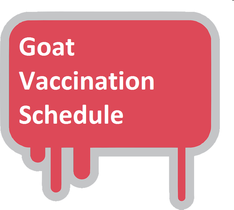 Goat Vaccination schedule
