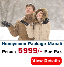 Honeymoon Package Manali