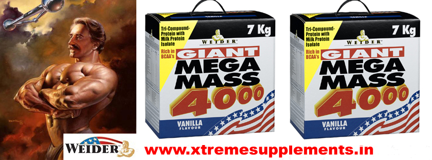 WEIDER GAINT MEGA MASS 4000 7KG PRICE DELHI,WEIDER GAINT MEGA MASS 4000 7KG PRICE INDIA