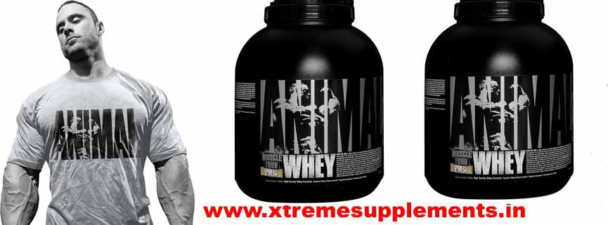 ANIMAL WHEY PRICE DELHI