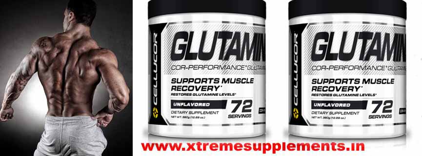 CELLUCOR GLUTAMINE PRICE INDIA