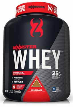 CYTOSPORTS MONSTER WHEY INDIA PRICE