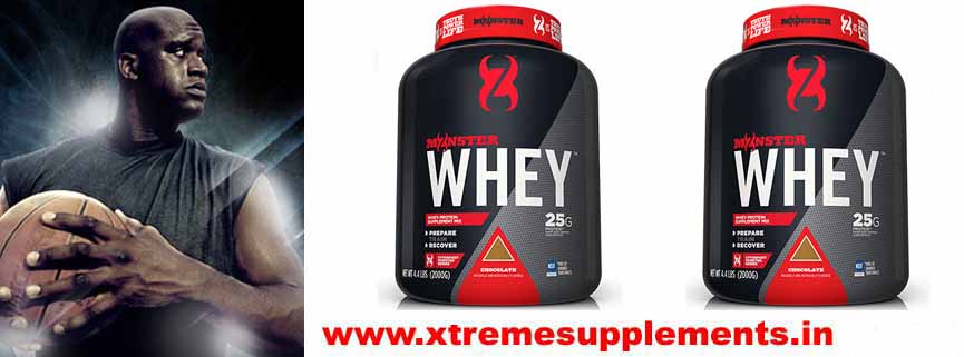 CYTOSPORTS MONSTER WHEY PRICE INDIA