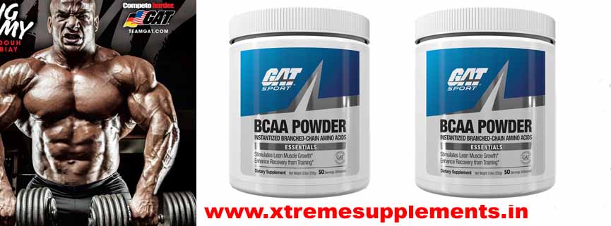 GAT BCAA POWDER PRICE INDIA 