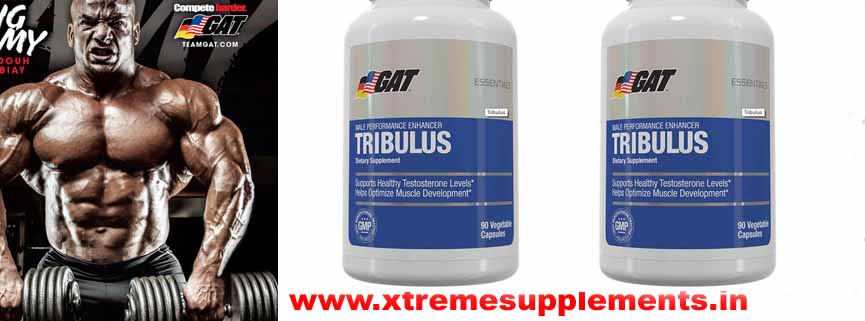 GAT TRIBULUS PRICE INDIA