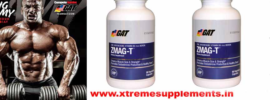 GAT ZMAG-T PRICE INDIA