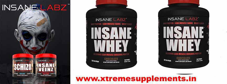 INSANE LABZ INSANE WHEY PRICE INDIA_xtremesupplements.in