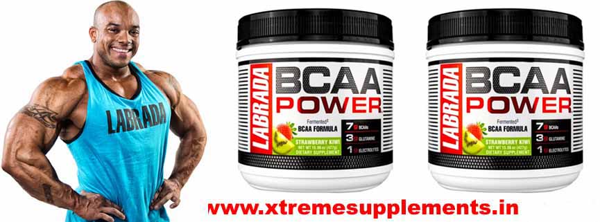 LABRADA BA ENDURANCE PRICE INDIA