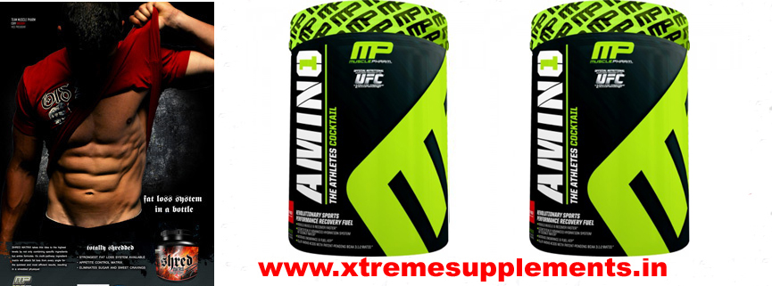 MUSCLEPHARM AMINO 1 PRICE INDIA