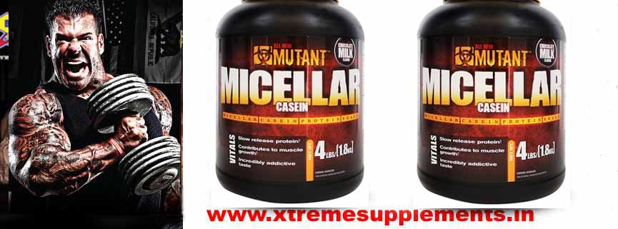 MMUTANT MICCELLAR CASEIN PRICE INDIA