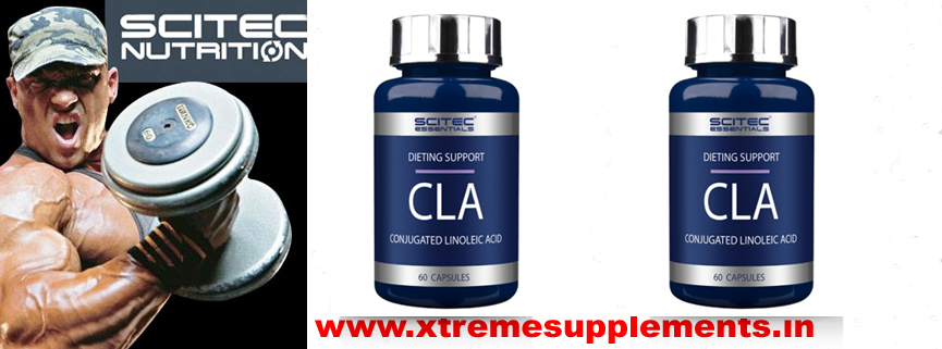 SCITEC CLA PRICE INDIA ,SCITEC CLA PRICE DELHI