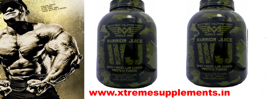 SCITECH NUTRITION WARRIORJUICE Whey + micellar casein protein fusion PRICE INDIA