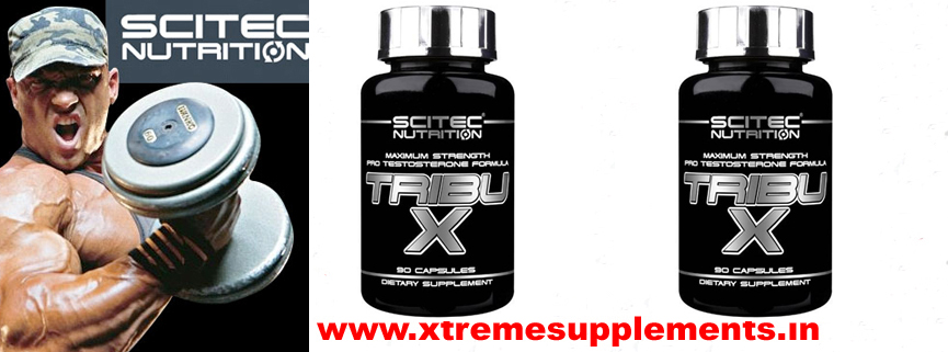 SCITEC TRIBU X TESTOSTERO PRICE INDIA ,SCITEC TRIBU X TESTOSTERONE PRICE DELHI