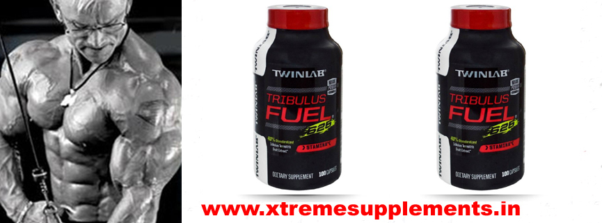 TWINLAB TRIBULUS FUEL PRICE DELHI,TWINLAB TRIBULUS FUEL PRICE INDIA